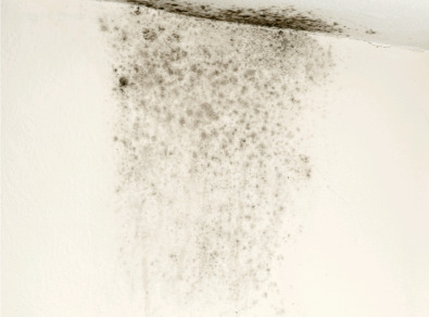 함평 주택 아파트 공장 결로검사 결로공사 시공업체